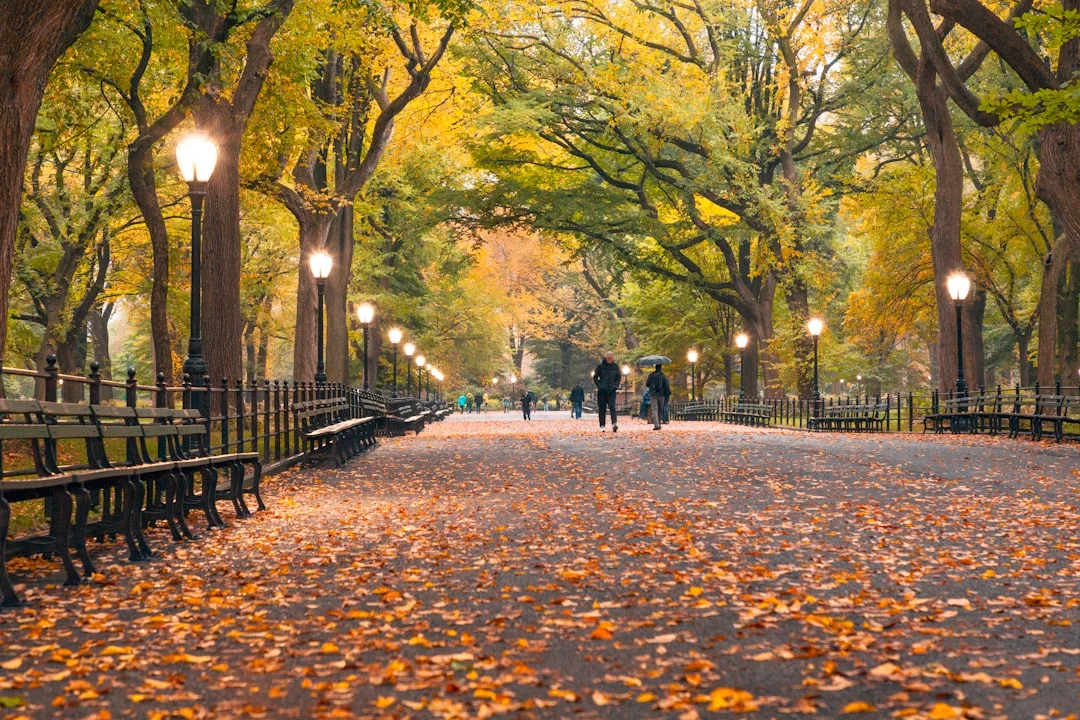 Urban Greenways as Public Infrastructure and Socia...