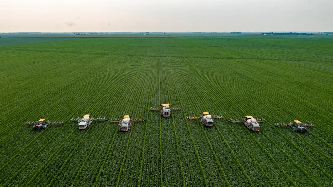 Agricultural Productivity and Rural Resilience