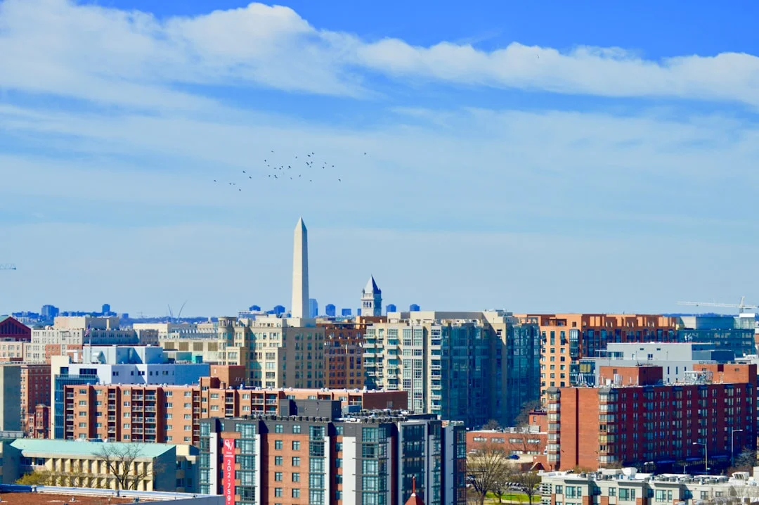 Economic and cultural impact of the arts district ...