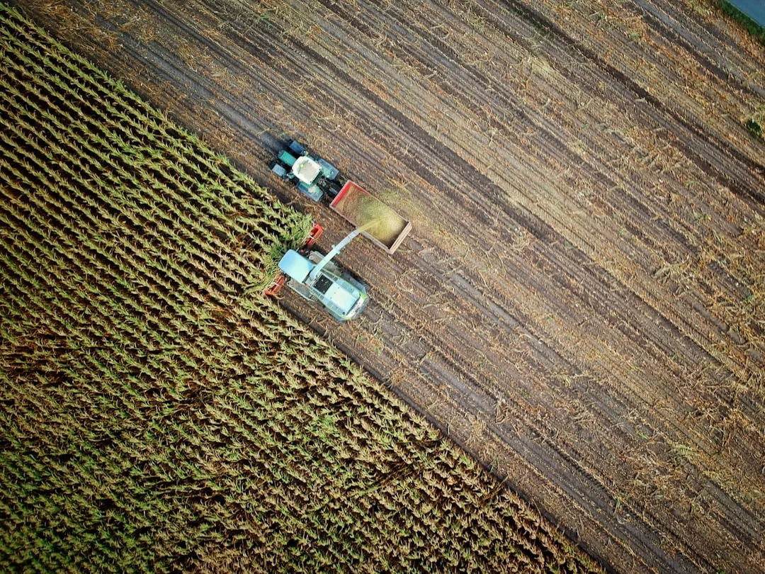 Impact on Farm Operations and Labor Productivity