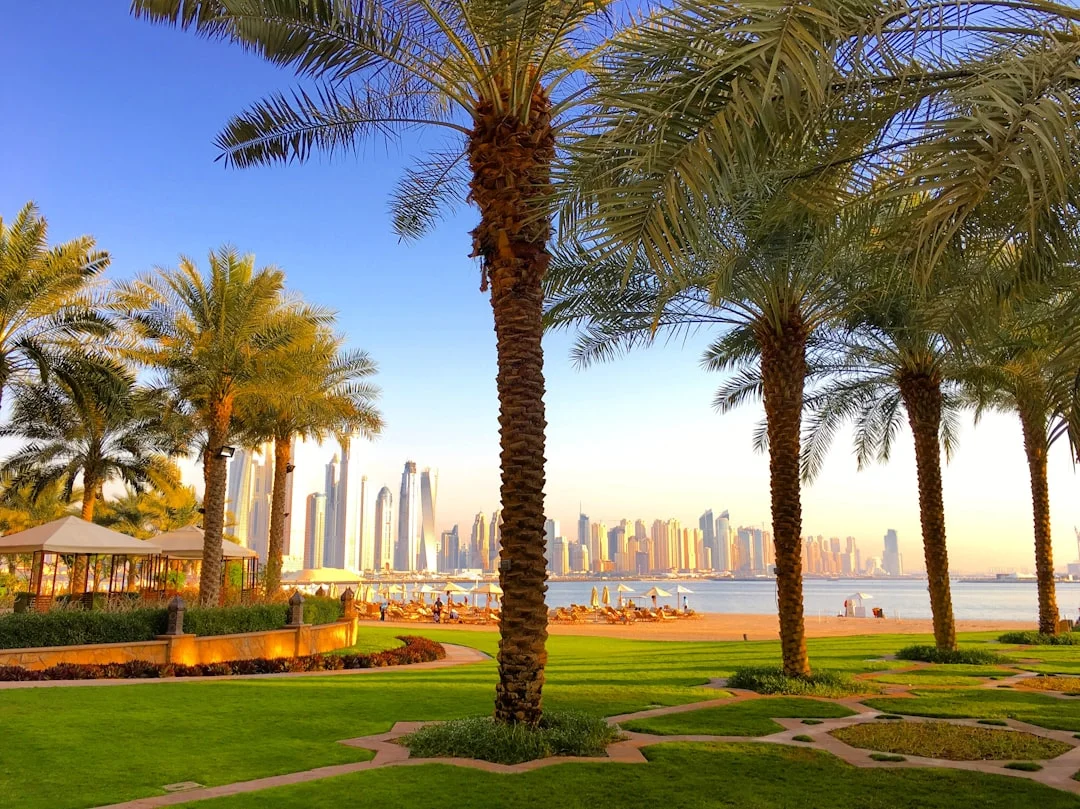 Dubai’s Canopy Al Seef Launches Skafos Hydroponic ...