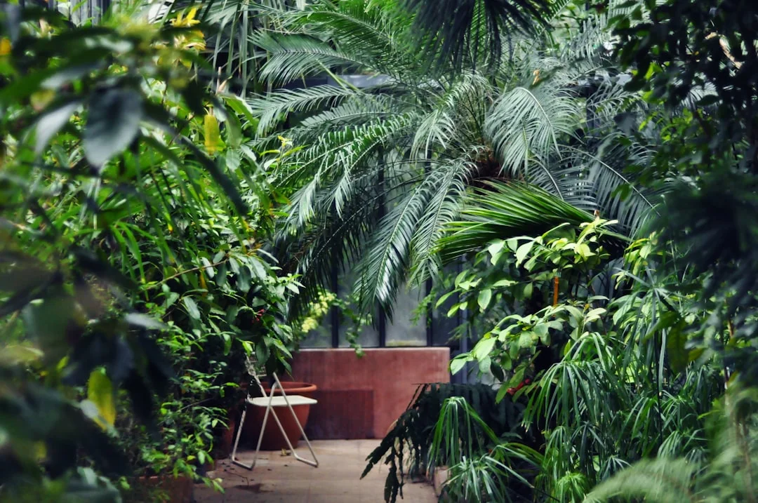 Alila Mayakoba debuts in Latin America