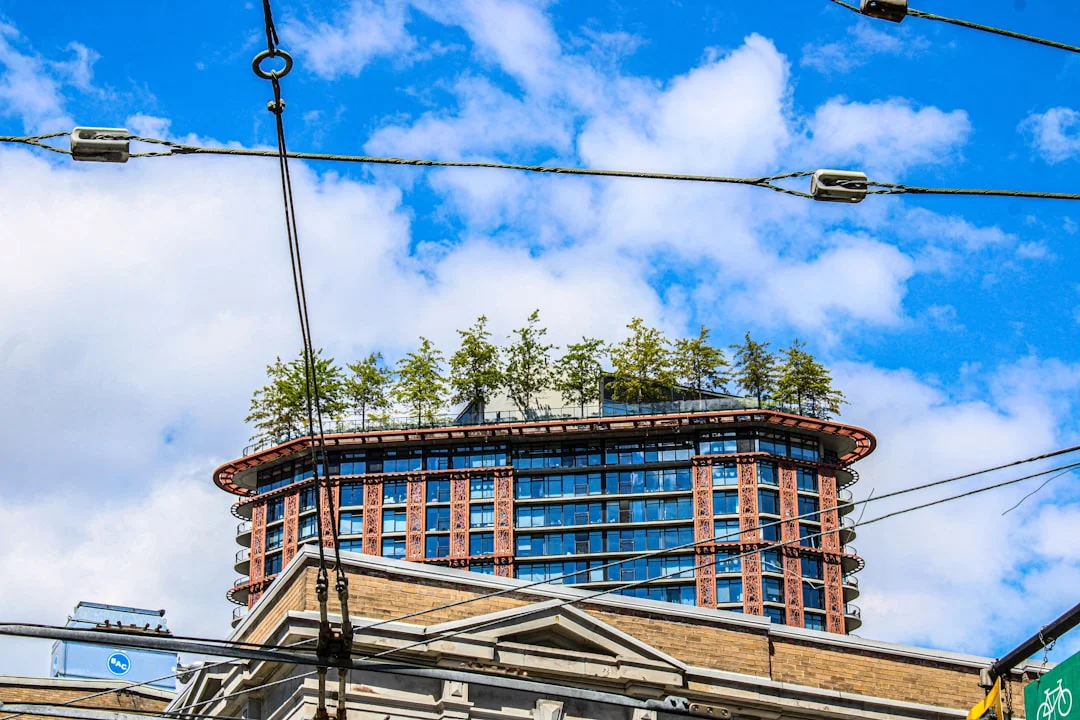 Announcement of rooftop farming collaboration and ...