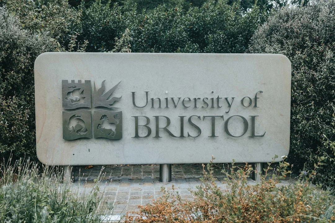 UCL Digital Mental Health Hub: A flagship initiati...