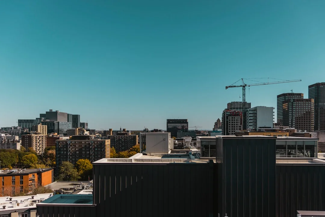 Section 2: Why It Matters