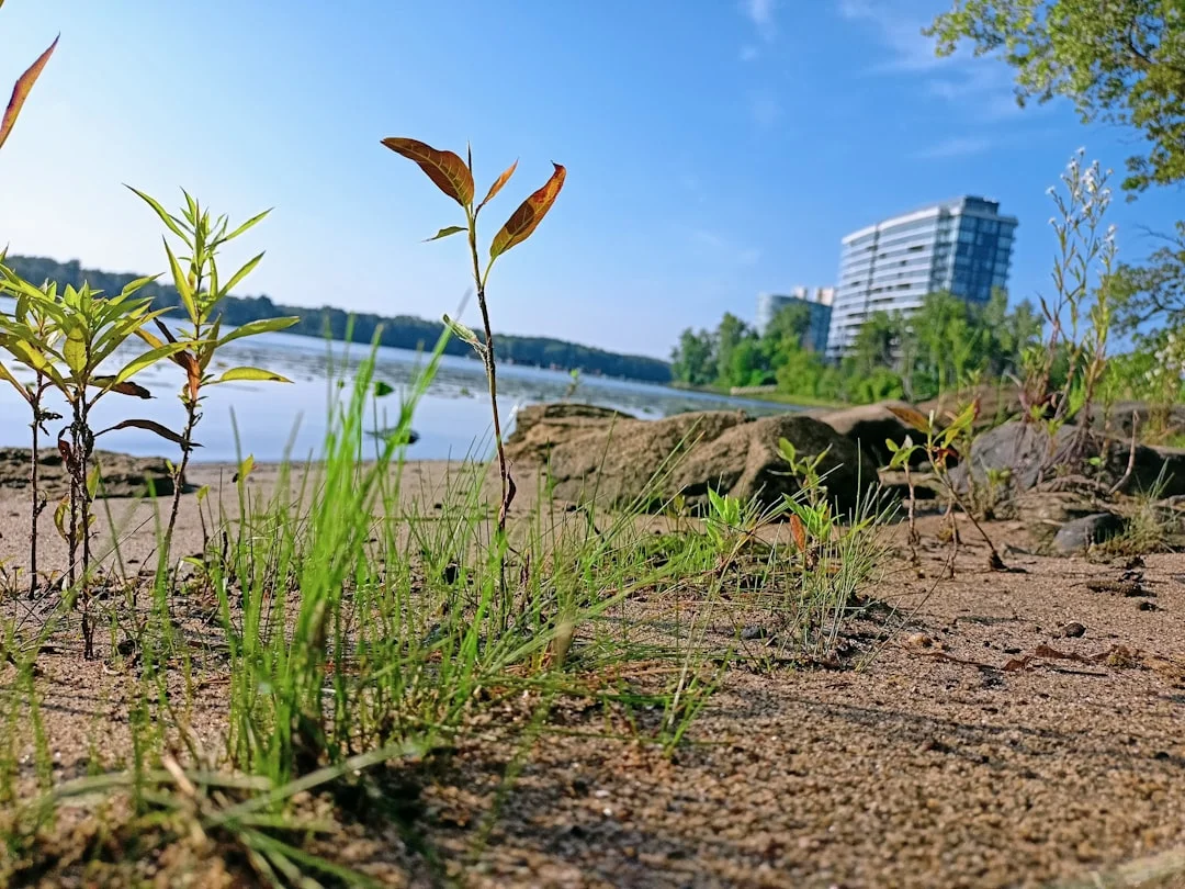 Québec’s Plan Nature 2030: a provincewide pivot to...